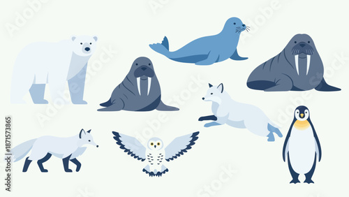 Polar bear seal walrus penguin arctic animals.