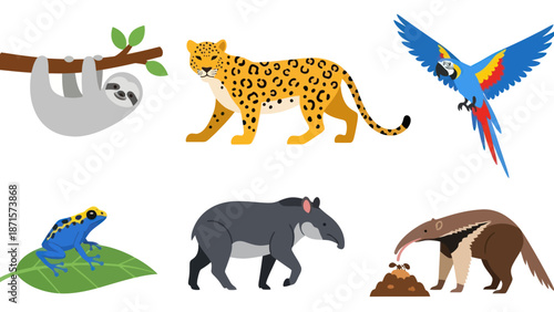 Sloth Leopard Frog Rhino Armadillo Macaw Animals.