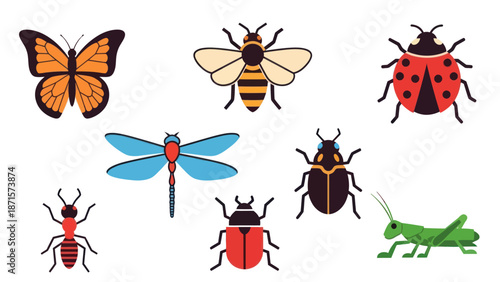 Collection of Various Insects and Bug Species.