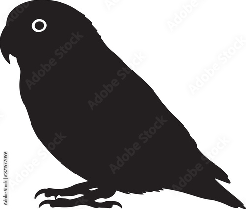 Lovebird Silhouette on White Background