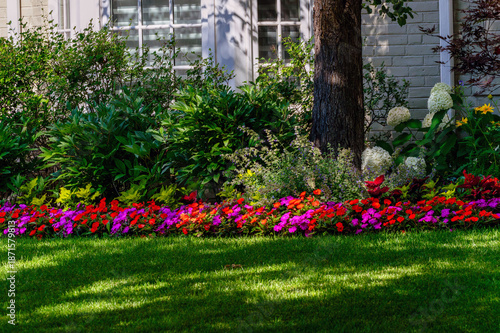 Impatiens flowers bring beauty and color to a well maintained shady house garden.