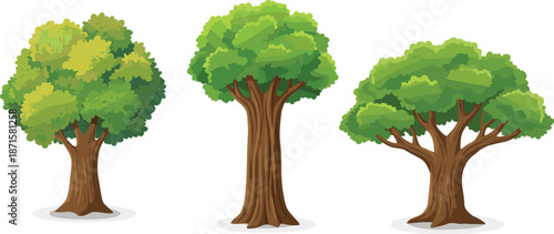 Green forest tree illustration set, lush leafy trees with trunks, nature ecology concept, isolated white background, vector artwork design