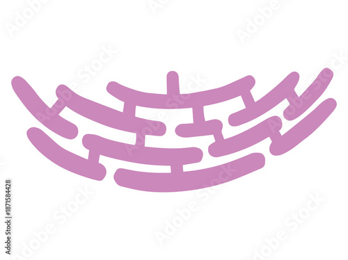 Structure Endoplasmic Reticulum Cell Anatomy