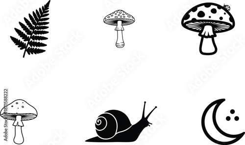 Black and white illustrations of mushrooms snail fern and moon