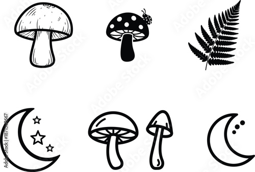 Mushrooms crescent moon and stars fern leaf illustrations