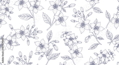 Wallpaper Mural Seamless pattern of delicate hand-drawn floral and leaf illustrations in monochrome. Torontodigital.ca