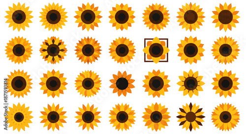 Collection of various sunflower illustrations with different petal and center designs on white background.