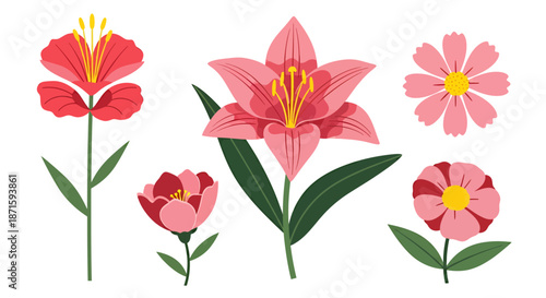Collection of five different pink and red flowers illustrated in a flat vector style.