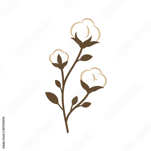 Cotton plant branch with three bolls. Modern flat botanical illustration for eco packaging, textile labels, or rustic themes