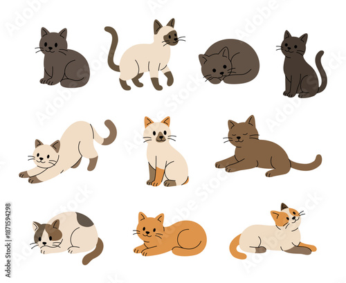 Set of cute cats in different poses and colors. Flat vector illustration of kittens sitting, sleeping, stretching and playing for pet and animal themes