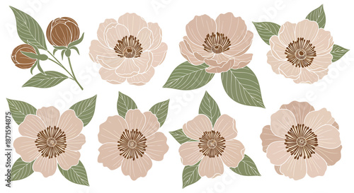Collection of beige and pink floral illustrations with green leaves and buds on white background.