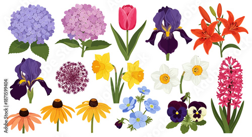 Collection of colorful spring and summer flowers including tulips, irises, lilies, and daisies.