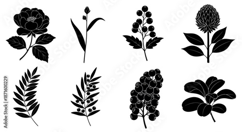 Black silhouette collection of various botanical floral and leafy plant elements.