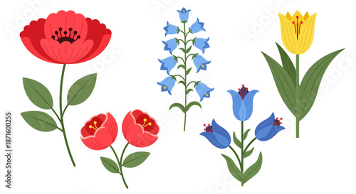 Illustration of various colorful wildflowers including poppies and tulips.