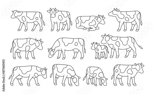 Line art cow set in black outline. Minimal stylized bundle of dairy cows in various poses