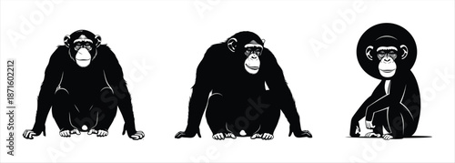 Chimpanzees Sitting in Different Poses - Black and White Illustration