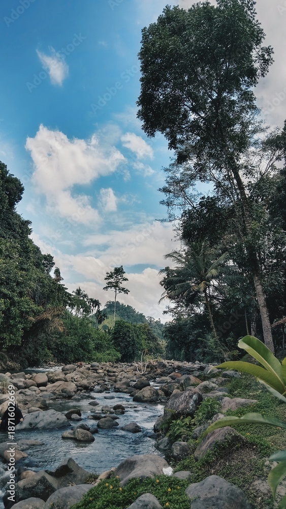 Fototapeta premium Processed with VSCO with hb2 preset