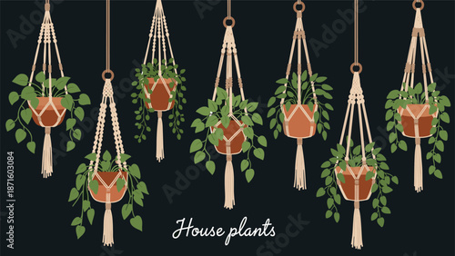 Variety of hanging macrame plant holders with green leafy houseplants against a dark background with house plants text.