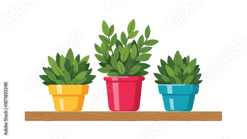 Three leafy green plants in yellow pink and blue pots neatly arranged on a rustic wooden wall shelf on a white background.