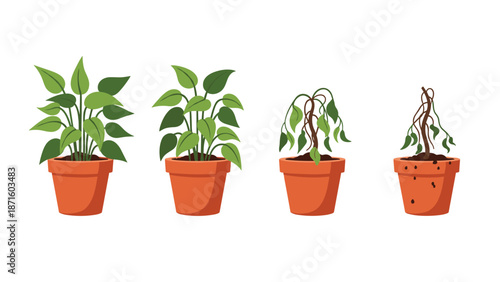 Educational illustration shows the progressive stages of a potted plant wilting and dying due to lack of water or care.