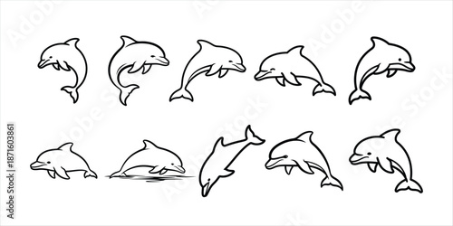 Dolphin Icons Collection Various Poses and Movements of Dolphins