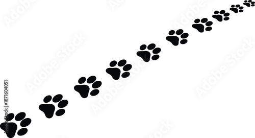 Black animal paw prints walking in a diagonal line, cat or dog tracks, pet path, wildlife trail, isolated on white,