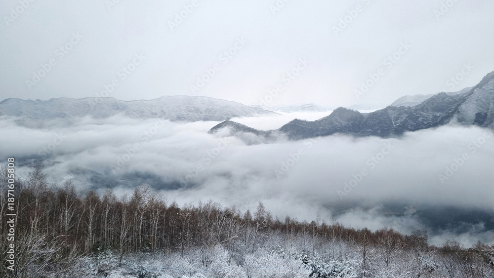 Obraz premium 아름다운 눈 쌓인 겨울 산