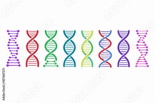 Colorful DNA Structure Design