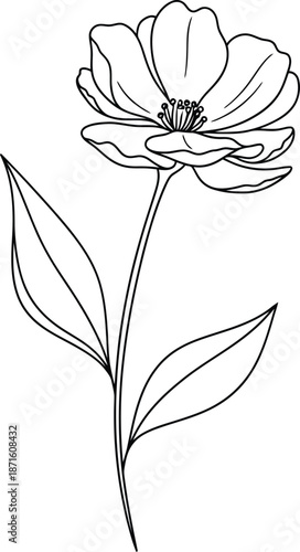 A black and white silhouette of a flower with leaves on a stem