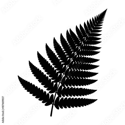 Fern Leaf Botanical Silhouette Vector Icon - Plant Frond Black Shape on White Background - Minimalist Nature Symbol