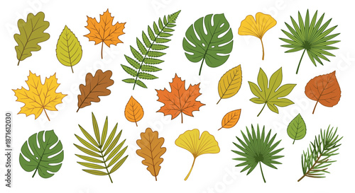 Nature's Palette A beautiful vector assortment of hand-drawn leaves, including colorful fall maple, oak, and lush green tropical, fern, and ginkgo foliage for diverse botanical design projects