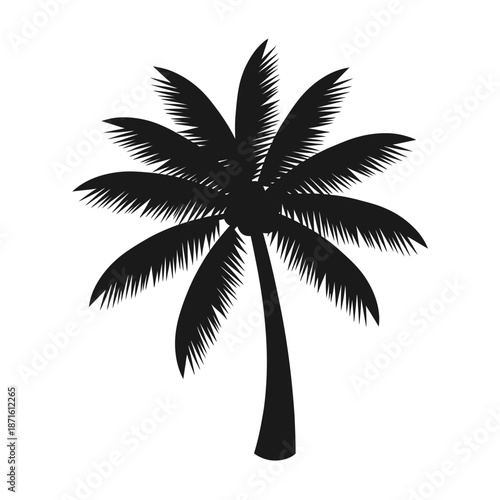 Palm Tree Coconut Silhouette Vector Icon - Summer Beach Tree Black Shape on White Background - Minimalist Travel Symbol