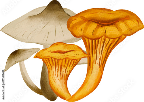 Colorful Watercolor Mushroom. Hand-painted watercolor illustration of different mushroom species in bright tones, perfect for botanical and natural design projects.