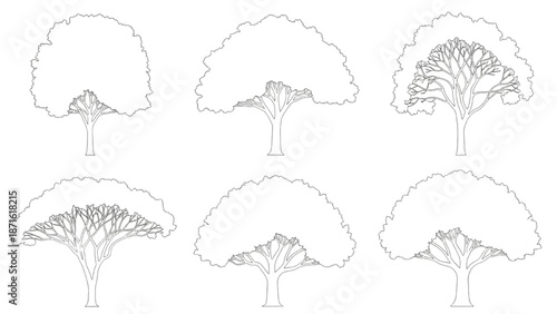 Step-by-step guide illustrating how to draw a tree with detailed branches