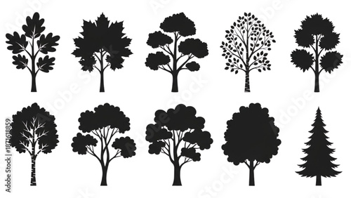 Collection of diverse tree silhouettes representing various species and natural forms in a graphic style