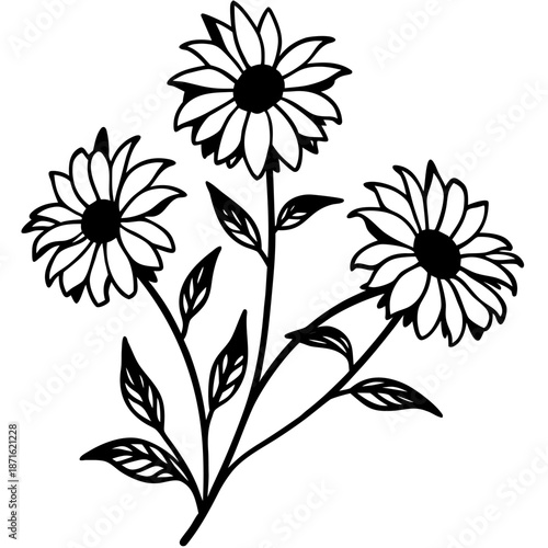 black eyed susans pink flower with branch line art on white background