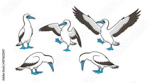 Cute Blue-Footed Booby Bird Cartoon Vector Set. Exotic Galapagos Seabird Mascot in Various Poses: Flying, Dancing, Standing, and Foraging.