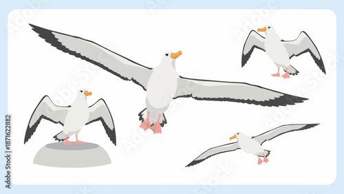 Seagull Vector Set: Flying and Standing Albatross Poses Collection. Flat Cartoon Seabird Illustration for Marine, Nature, and Wildlife Design.