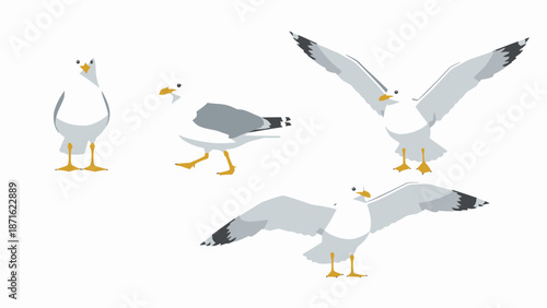 Cartoon Seagull Vector Set. Marine Bird Collection in Four Poses: Standing, Walking, and Flying, Isolated on White Background.
