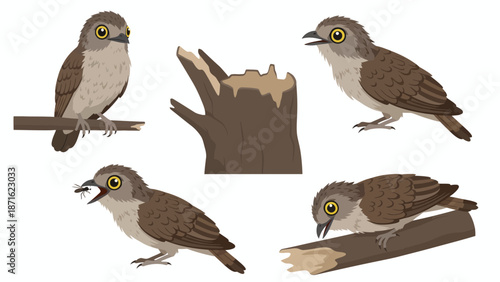 Vector Cartoon Set of Small Wild Bird Poses (Perched, Standing, Eating Insect) with Log and Tree Stump Elements