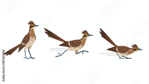 Cartoon Roadrunner Running Animation Sprite. Desert Bird Gait Cycle Sequence. Flat Vector Illustration of Speed and Motion.