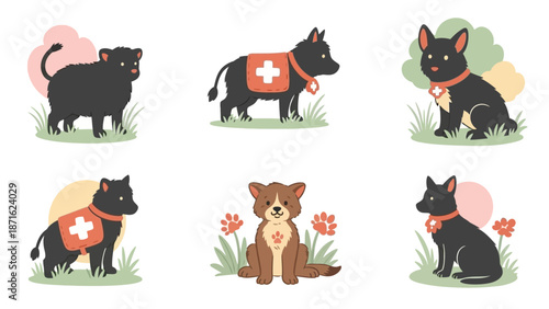 Black Cats and Dog in Medical Collars.