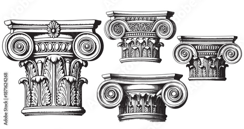 Ionic column capital engraving illustration for architectural branding