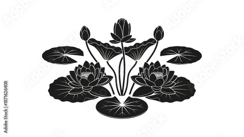 Black and White Lotus Flower Illustration.