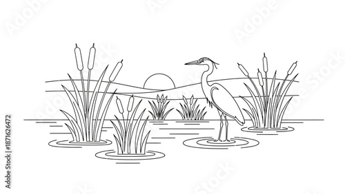 Crane Standing in Water with Reeds.