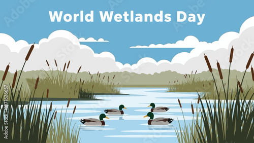 Ducks Swimming in Wetland Landscape Scene.