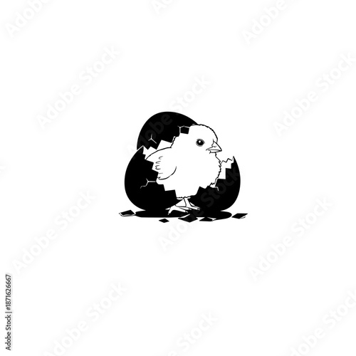 Chick Breaking Out of Egg
