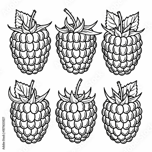 Set of six hand-drawn outline illustrations of fresh raspberries with leaves and stems, black and white berry sketch collection for coloring books.