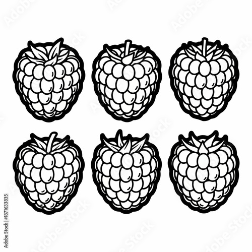 Set of six black and white outline vector illustrations of raspberries on a white background.