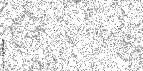 minimalist abstract topographic contour lines with white background. Smooth curves and organic flow. modern art
